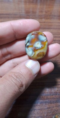 داودي هندي • چوكر روحاني • محكوم ومصور