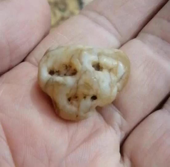 نوادر


**إذا كنت صاحب هذا الإعلان وتريد حذفه لأي سبب، رجاءا أرسل رسالة إلى الدعم الفني**