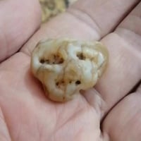 نوادر • تحف • قطع نادرة