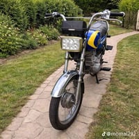 أرشا أصلية • محرك ناعم • أوراق ضايعة