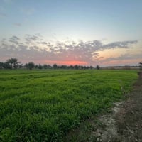 ارض زراعية • مقابل الملك غازي • ٦٠٠م ١٣٠٠م