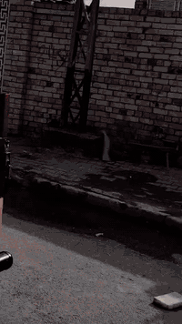 ستوته صلطان البيع موديل 2017 سوته جديد من صدره الدعاميه شراي سعر ثلاثه...