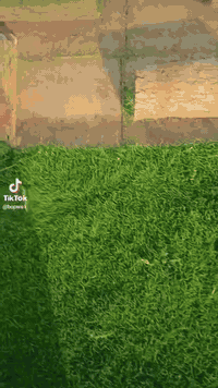 ثيل • أنواع ثيل • أسعار تنافسية