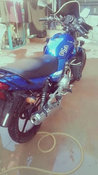 منفيس • ٢٠٠٨ • مكفوله