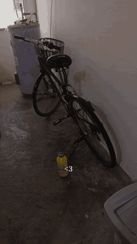 بايسكل c700للبيع ياباني اصلي مختم شيمانو من البريكات والمكينه مختم ياباني الاصلي بايسكل مسافات  
نضيف جدا تجي ويا ملحقات لد خلفي وخوذه السعر ٨٠ وبيه مجال حك الجيه رقمي *********** متواجد واتساب
مكاني بغداد الطالبيه
