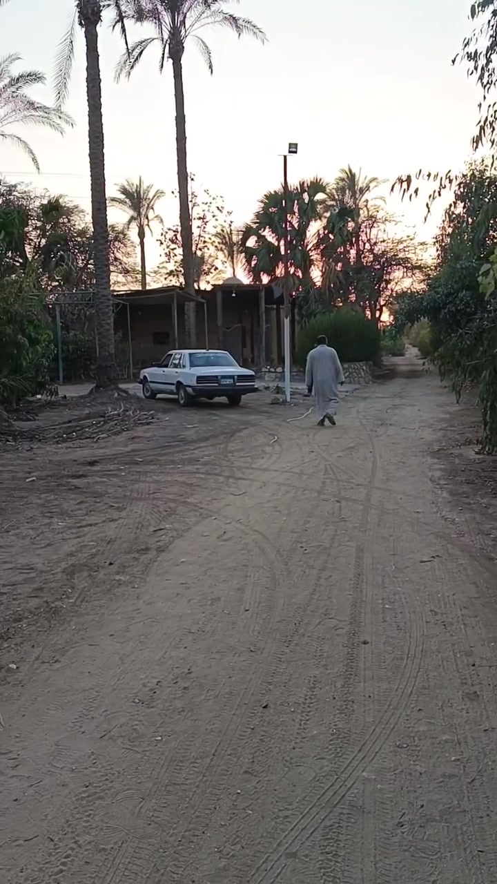 بسم الله مشاء الله باقي مساحه فدان من المساحه الكليه مزرعه مشجره منجا مثمره داخله خاصه اقل سعر في المنصوريه ارض مالك نهائي مسجله شهر عقاري قابل لتجزؤه 2 كيلو ونص من الرئيسي ترعة المنصوريه 15 دقيقه من القريه الذكيه وكارفور/لتواصل فون او وتساب 01008472516/01144003430


**إذا كنت صاحب هذا الإعلان وتريد حذفه لأي سبب، رجاءا أرسل رسالة إلى الدعم الفني**