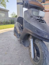 فراشه140 • كفرات تجاري • اطراف الشعلة