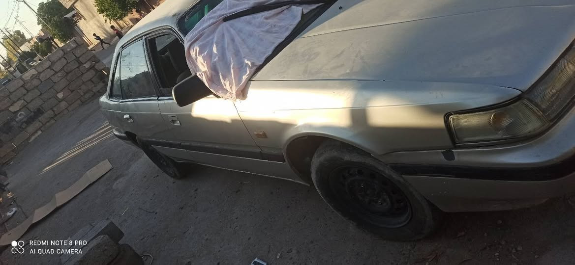 مازده 626رقم نينوى اخضر صبغ عام سعر 20ورقه ***********وتساب
