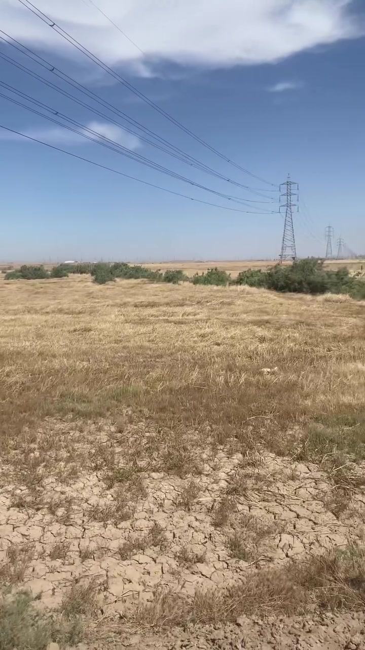 45. دونم طابو سند 25 يتحولن بأسمك عنوانهن نزلة الطبر قبل لا تعبر جسر الطبر بنص كيلو موقعهن حلو ومتوجه سعر لدونم لواحد ب 11 مليون ونص للآستفسار ***********
