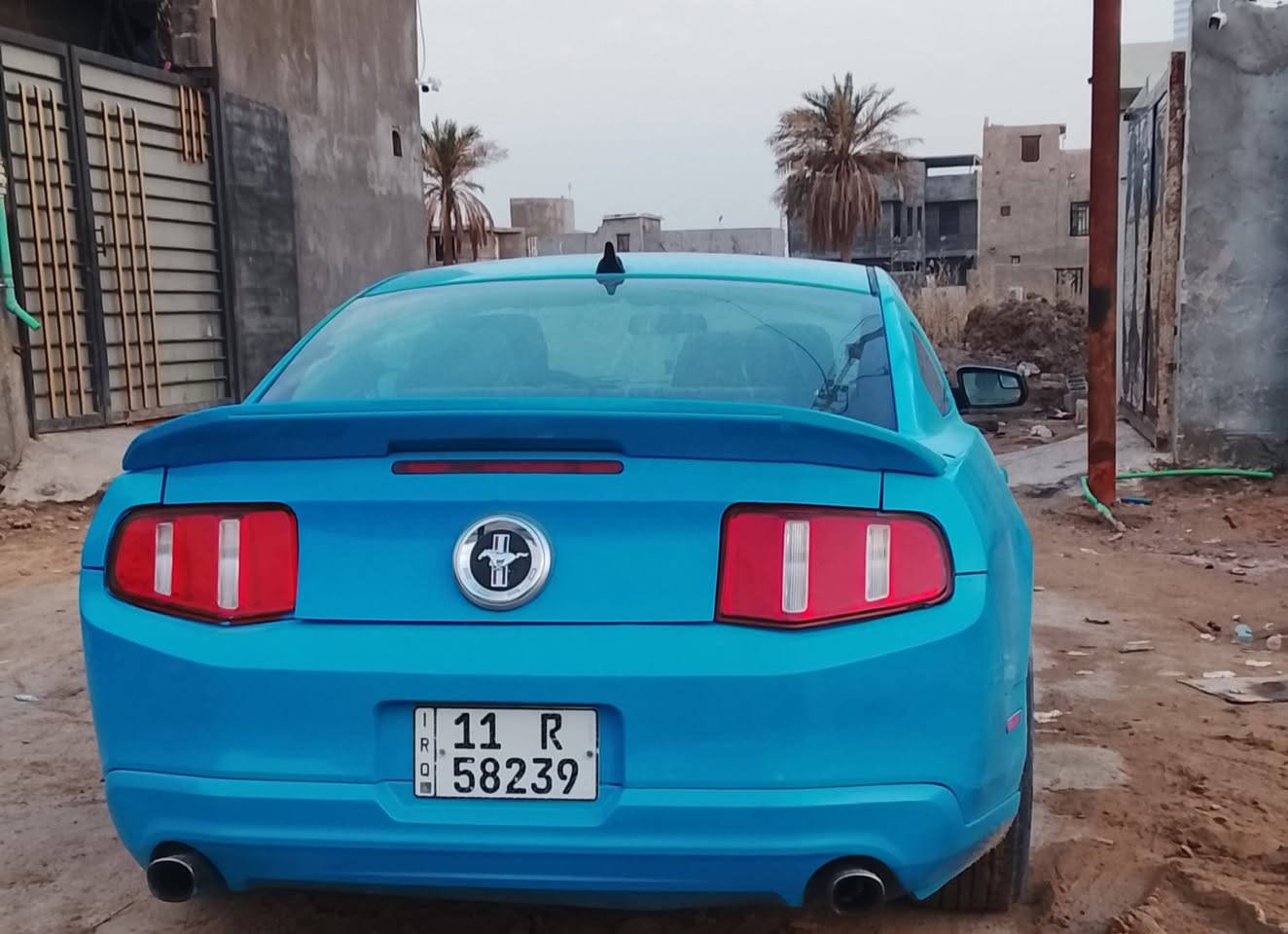 موستنك لبيع مديل2012رقم بغداد محرك كيرمكفولات سياره جاهزه تبريد شغال كلشي شغال بيهه سعر85سياره بلبصره راعيه يريدتحويل مابيه نواقص سياره لاستفسار أكثر اتصل ***********
