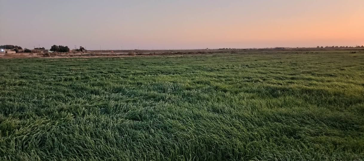 سلام عليكم  لواح زرع للبيع لمايشتري لا يعامل رقم ابو لكاع ‏‪+9647817907576‬‏


**إذا كنت صاحب هذا الإعلان وتريد حذفه لأي سبب، رجاءا أرسل رسالة إلى الدعم الفني**