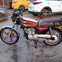 موديل 23 • بابل جسر الهنود • اوراق سكنر