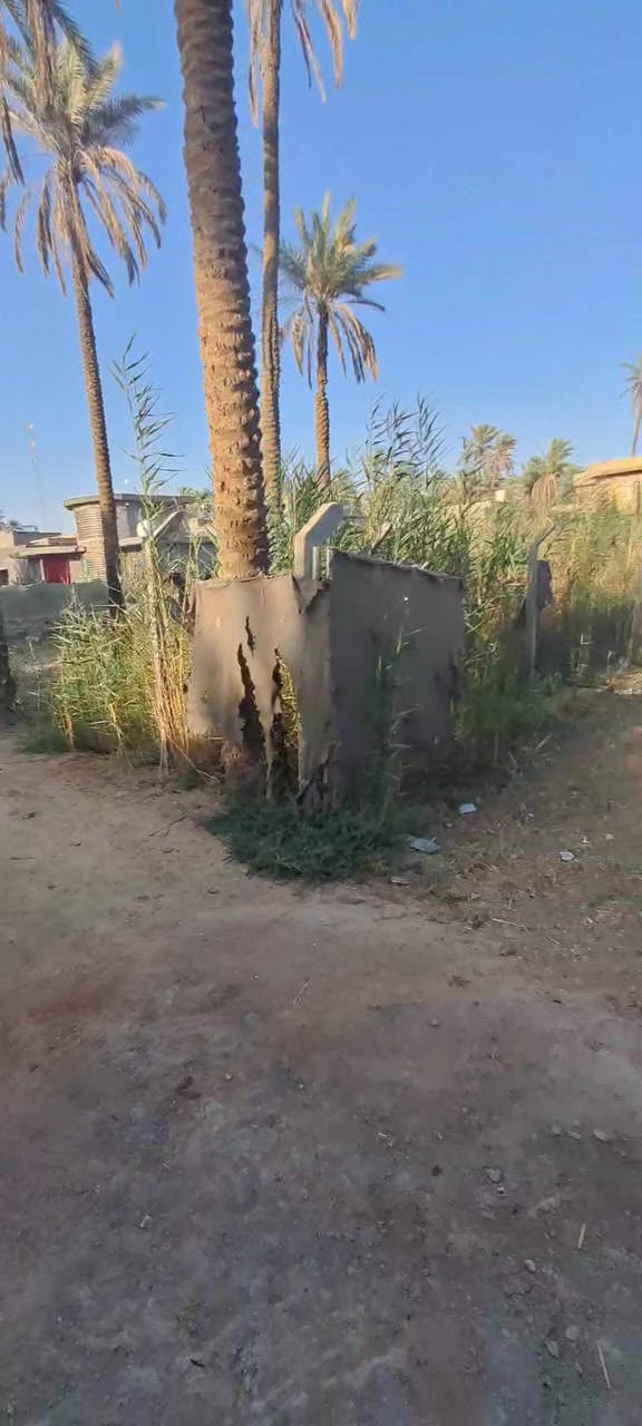 ياألله 
نصف دونم للبيع
طابوزراعي سند 25
تحويل أسهم 
كافة الخدمات متوفرة ماء كهرباء 
تبعد عن شارع السيدة زينب ع  300متر
السعر 200مليون قابل للتفاوض 
للمعلومات أكثر ابومجتبى 
***********
