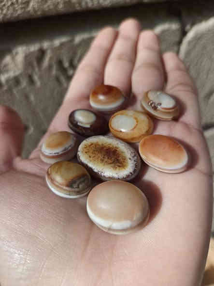 إن الله هو الرزاق ذو القوة المتين
جزع مختلف ومميز سعر القطعة 5 الاف 
للتواصل واتساب : ***********
