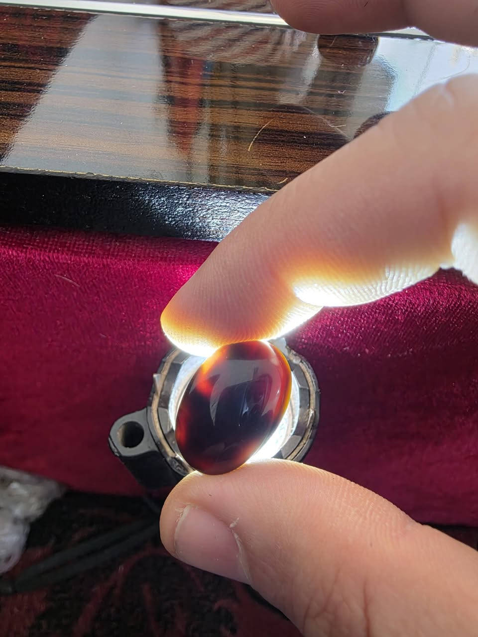 شفة العبد سعر الفص ٢٠ الف يا بلاش


**إذا كنت صاحب هذا الإعلان وتريد حذفه لأي سبب، رجاءا أرسل رسالة إلى الدعم الفني**