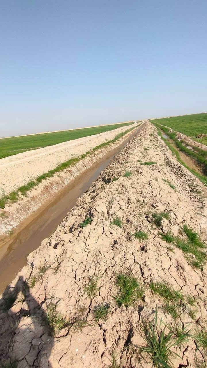 ارض زراعي للبيع 
ارض زراعية للبيع سند 35  خصبة جدا تقع على نهر المالح مباشرة  كما موضع في الفديو و الصور ولها بزل خاص بها على طول الارض معدله ليزر و الكاع خير من الله عنوان الارض جبلة قرية الصمود و تبعد عن مركز جبله نصف ساعه  سعر الدونم مليونين و نصف للتفاصيل الاتصال على  سبب البيع عدم التفرغ
***********
***********
