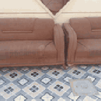 تخم • مجال بسيط • القاسم