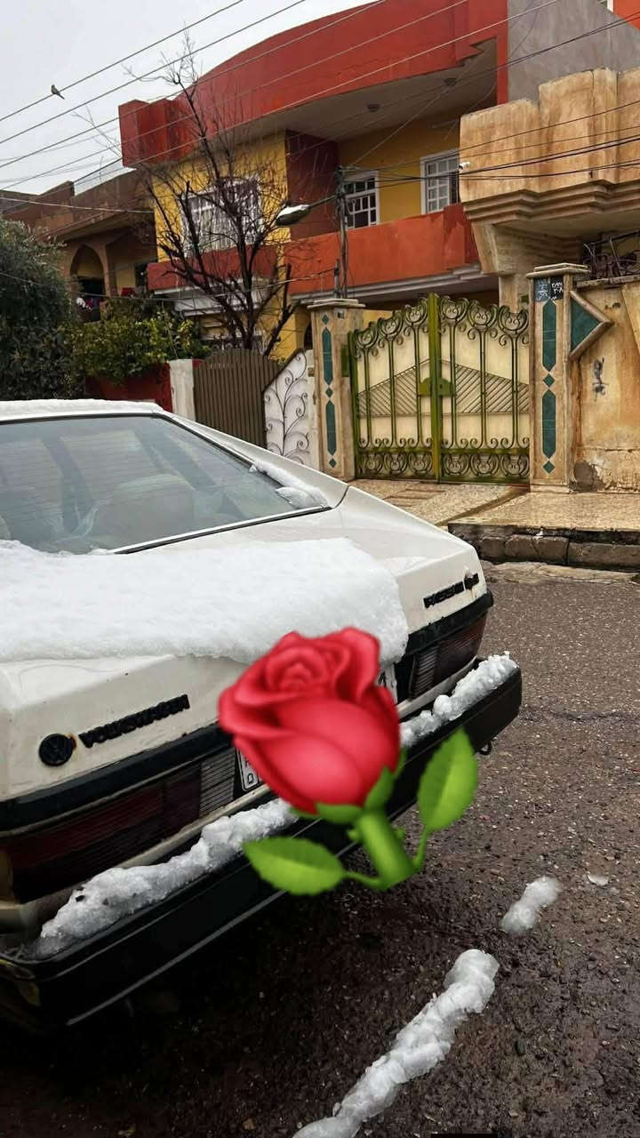 للبيع برازيلي سيارة بلادية باسمي رقم نينوى جديد هزة جديدة محرك 0،8 و5 كير تايرات جدد باتري جديد كهربائيات شغالة 
محرك وكير شرط بدون صبغ وبدون ضرر
السعر 28 وبيها مجال


**إذا كنت صاحب هذا الإعلان وتريد حذفه لأي سبب، رجاءا أرسل رسالة إلى الدعم الفني**