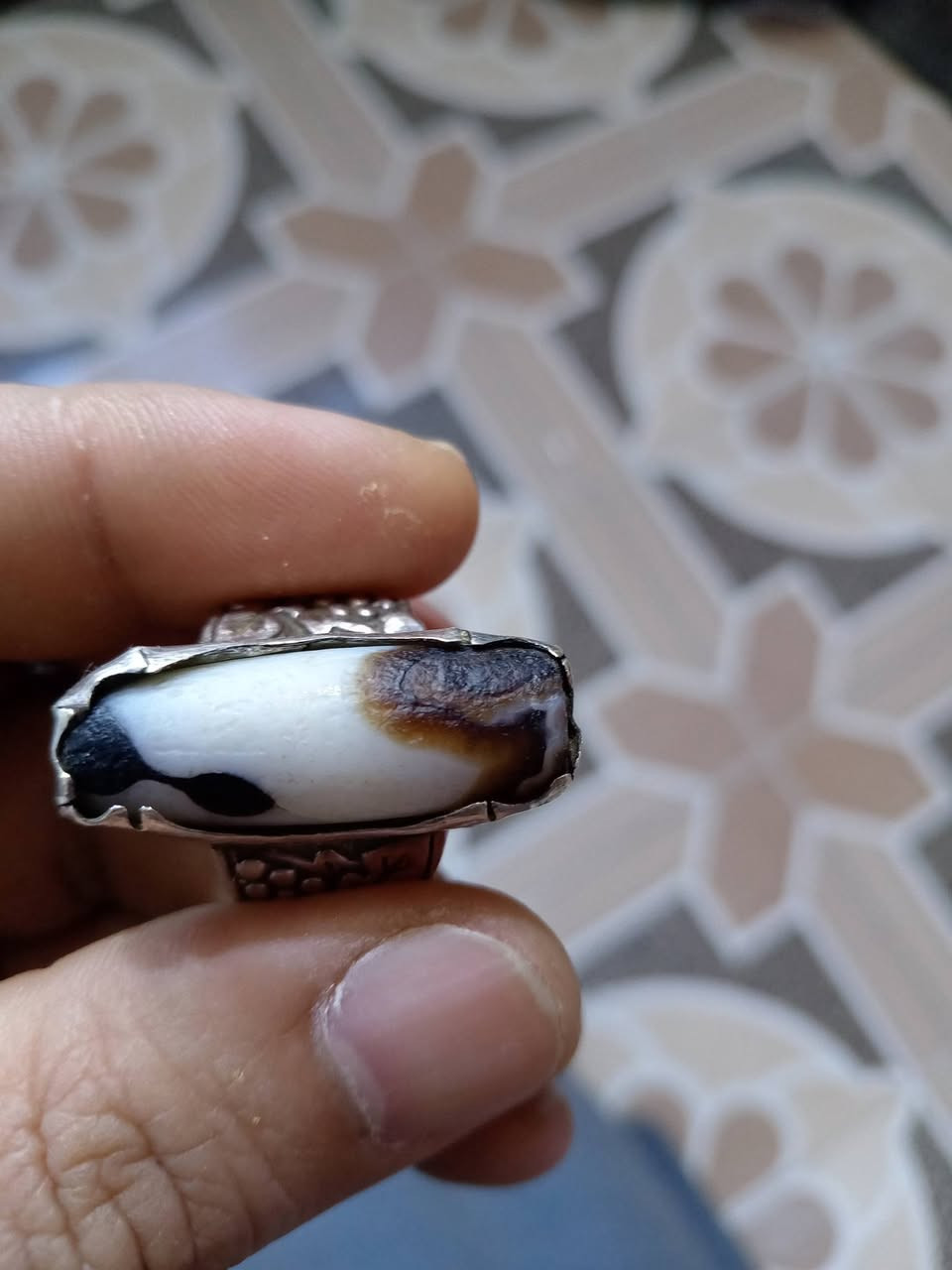 اعيد النشر لأن ماكو واحد انطة سعر اليرضي بي الله صيده وبالعافيه الياخذهن 250 قفل


**إذا كنت صاحب هذا الإعلان وتريد حذفه لأي سبب، رجاءا أرسل رسالة إلى الدعم الفني**