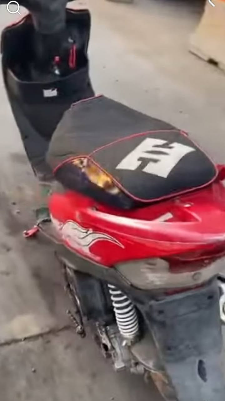 ماكس عدلة كاملة مكملة نقجوزة جوزته السويج ضاع تريد صور جنسيتي أو مكاتبة المهم مراوس او بيع السعر ٤٥٠


**إذا كنت صاحب هذا الإعلان وتريد حذفه لأي سبب، رجاءا أرسل رسالة إلى الدعم الفني**