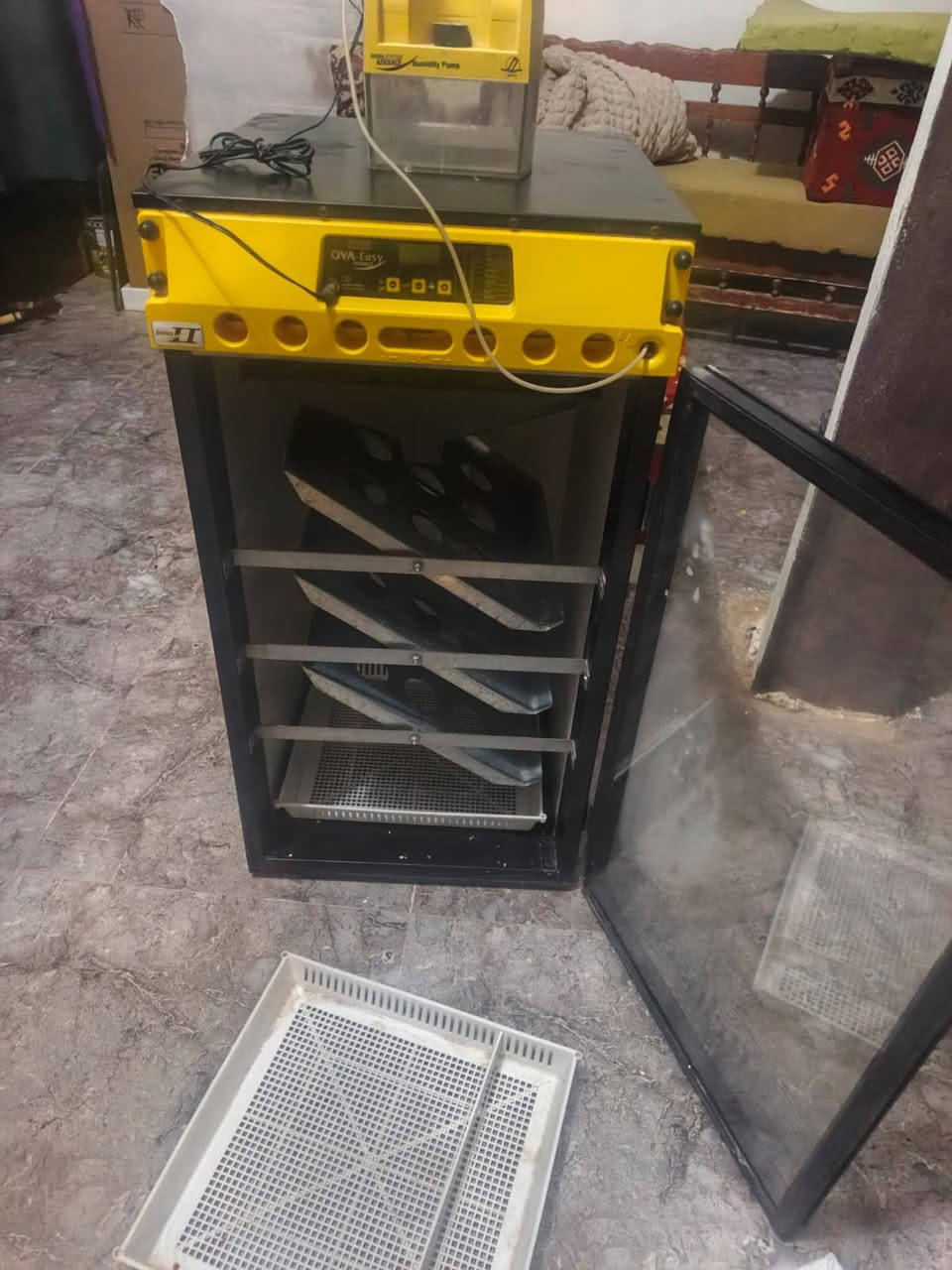 مفقسه برنسي للبيع 120 بيضه السعر 1250


**إذا كنت صاحب هذا الإعلان وتريد حذفه لأي سبب، رجاءا أرسل رسالة إلى الدعم الفني**