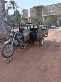 ستوته • موديل 16 • شاميه كلك