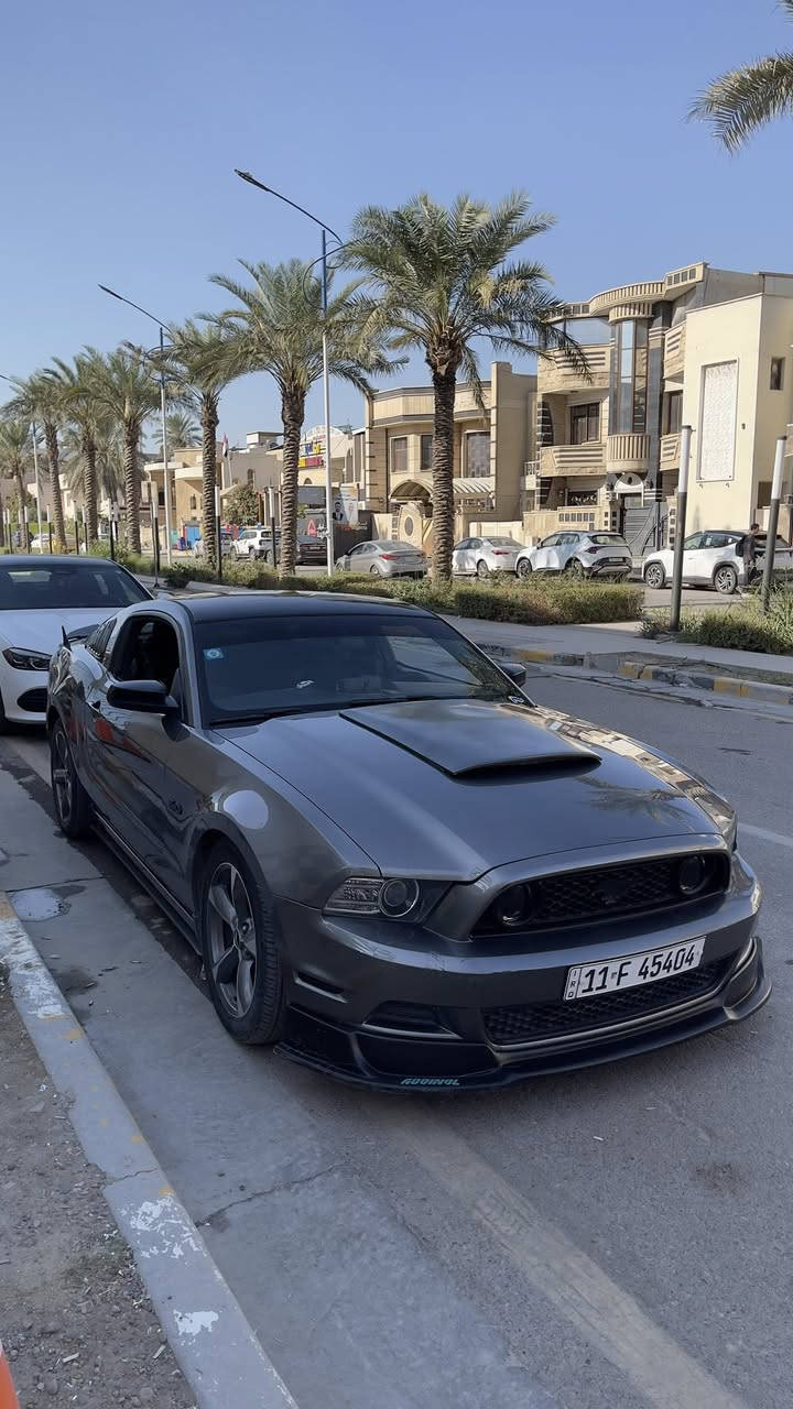 السلام و عليكم 
موستنك 2014 للبيع فقط
V6 3700
5 قطع 
ايبارك كشن سايق بس
ماشية تقريباً 100KM
حادث جاملغ و باب سايق مبدلات بس جاملغ مصبوغ
بدون شواصي و لغود 
كير و مكينة خير من الله 
السيارة معروفة بقوتها حيل 
سيارة ناصبة و حلوة
عليها برمجة طلال  
 مستعجل على البيعة  
خاص موجود او على الرقم 
***********
