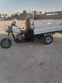 ستوته • شغاله