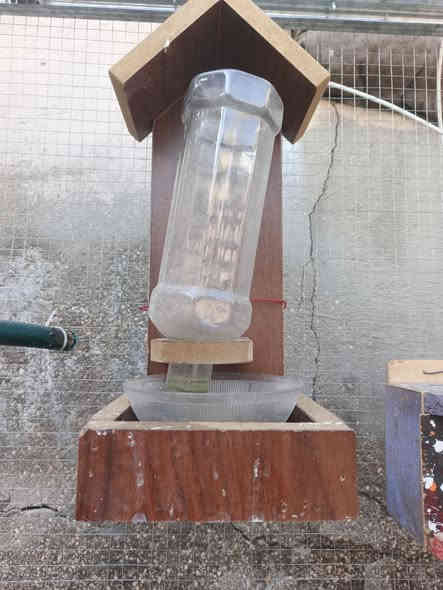 ادوات اكل طيور مع طوسهن  ثنين اخو جديد مابيهن شي
مرجوحه طيور زينه كسر مابيهه

شيلة وحده ب 30.وبيهن مجال قليللللل  
 مكاني نجف شارع المطار القديم 
***********
