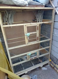 قفص طيور • كناري • بلبل