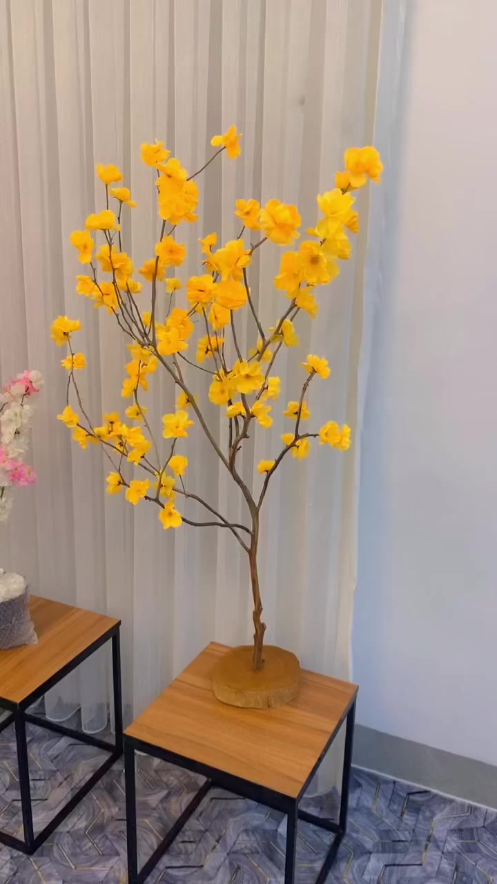 بۆ فرۆشتن ئەم چوار بابەتە شوێن هەولێر


**إذا كنت صاحب هذا الإعلان وتريد حذفه لأي سبب، رجاءا أرسل رسالة إلى الدعم الفني**