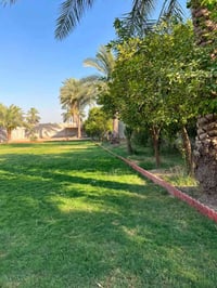 للبيع نص دونم طابو سند 25 واجهة الأرض 25متر جميع الخدمات متوفرة ماء كه...