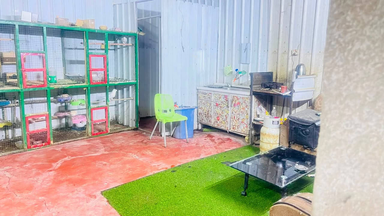 السلام عليكم موقع للبيع حمله 970ورقه اوقلم مكاينه سكانيه بوم مسجل حصته 300
التواصل ***********@
