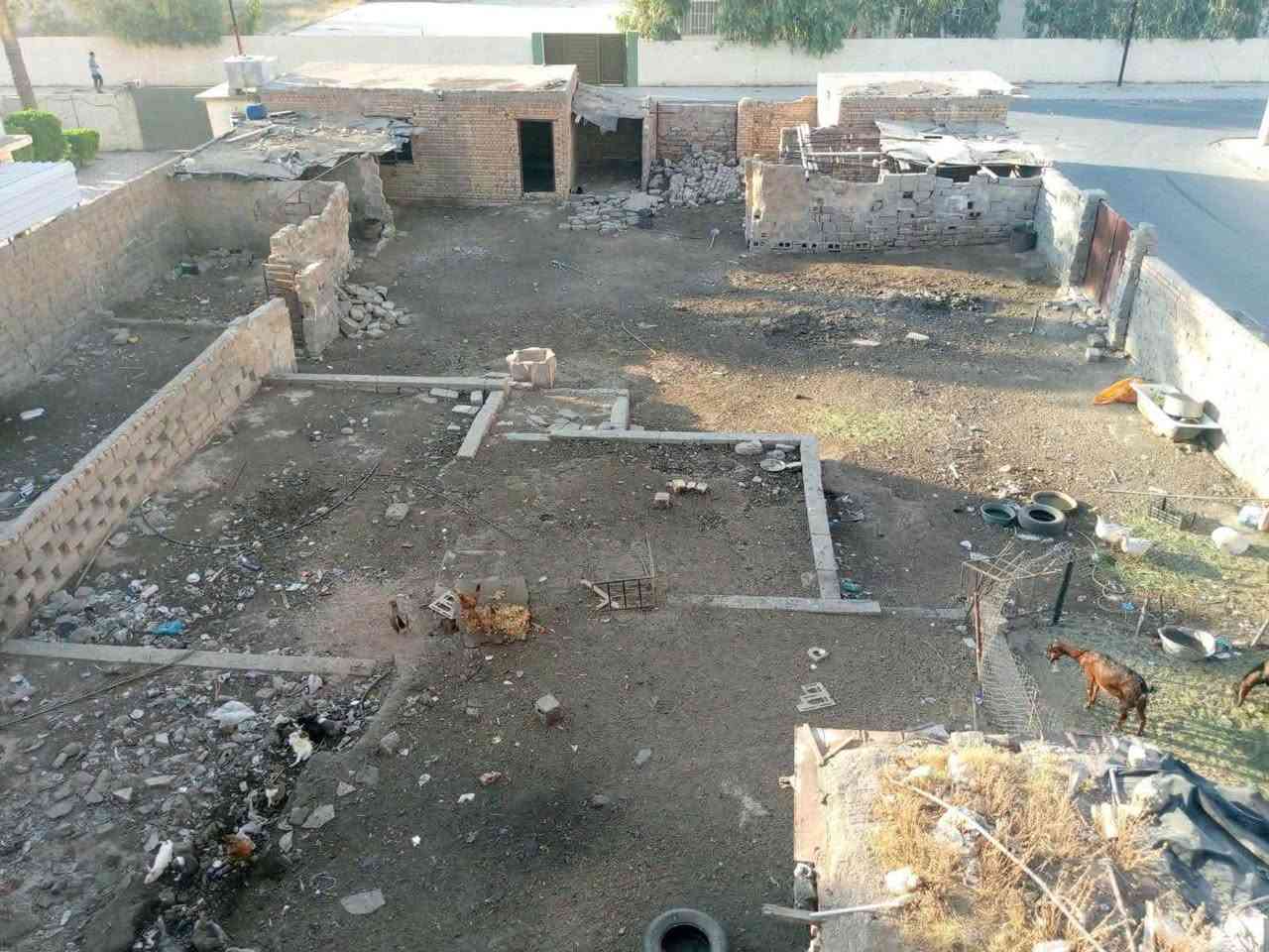 • للبيع | فرصة لا تُعوّض في قضاء الدور  إذا كنت تبحث عن   

قطعة أرض بموقع مميز وسعر استثنائي، فهذه

فرصتك 
 
مساحة 810 م قطعه ركن مطلة على مدارس ثنين وملعب

اغتنم الفرصة اليوم وابدأ أول خطوة نحو استثمار ناجح أو بناء منزل 

سعر 🔥🔥🔥 

للاستفسار :يوسف   
مكتب وطن للعقار
عل حولي مثنى خلف الخضراء 
*********** اتصال وتساب 

اغتنم الفرصة اليوم وابدأ أول خطوة نحو استثمار ناجح أو بناء منزل
