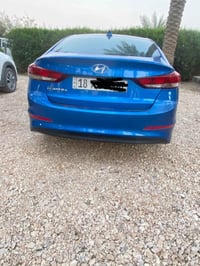 النترا • ٢٠١٧ • وارد أمريكي