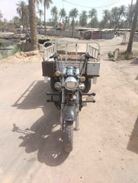 ستوته • شاصي مكفول • ٢٠٢٠