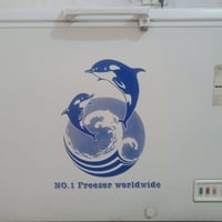 مجمدة ما داخلة تصليح صارلهة عندي8 اشهر السعر300 وبيهة مجال الرقم078023...