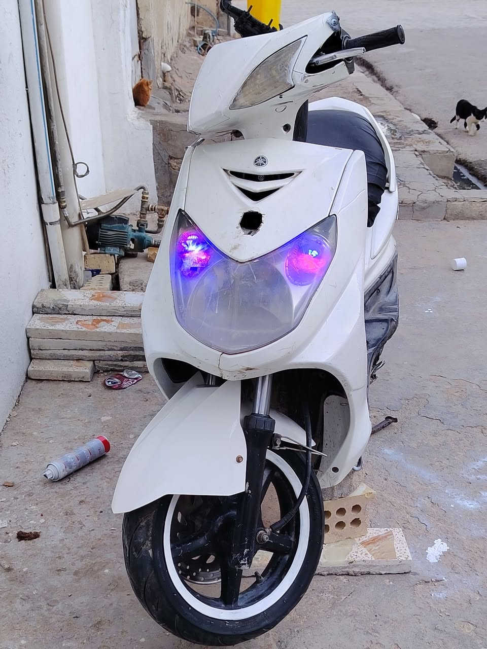 السلام عليكم عيني دراجه سكنس فحل نوزل وفيتبم دراجه حلوه ومكينه بلديه برغي ممفتوح بيهاا للاستفسار ***********
