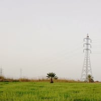 زرع • للبيع • سبع كبايل