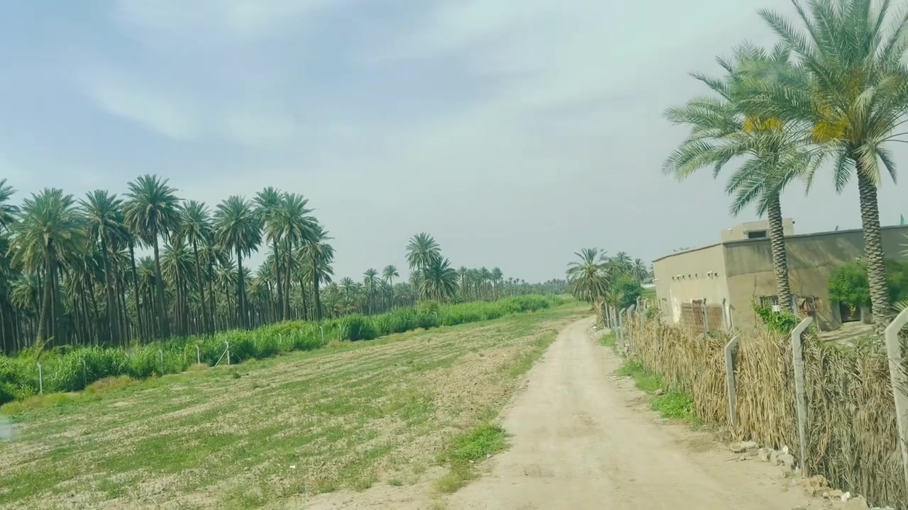 ياالله سلام عليكم
يوجود 6 دونم طابو زراعي سند 25
بيع حسب طلب. 
وجة دونم الواحد ماتقل عن 50 
كل دونم بسند منفصل 
أجمل موقع في المدائن جعارة 
يصلح سكن او مزرعة او استثمار 
آلة مدخلين واحد من شارع المدائن واحد من سدة شط
سعر دونم 200 وقابل للتفاوض 
تفصيل اكثر اتصل او واتساب 
***********
