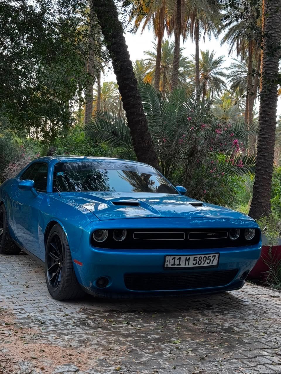 السلام عليكم / للبيع فقط 
دوج جالنجر موديل 2015 /SXT PLUS 
فول مواصفات داخل جلد اسود 
فتحة سقف
لون مميز بحري 
تدفئة وتبريد مقاعد 
شاشة كبيرة 
تبريد ثلج 
رادرات جانبية وخلفية 
بصمة 
تشغيل عن بعد 
السيارة عليها ادامة جديدة وبوليش جديد 
السيارة بدون اي مصرف 
ماشية 103,000 كيلو 
صورة الحادث مرفقة ويا 
حادثها جامغ وباب الراكب وجاملغ السايق 
( ثلاث قطع ) 
للاستفسار اكثر الاتصال على هذا الرقم 
متواجد واتساب / ***********
155 عارضها بيها مجال
