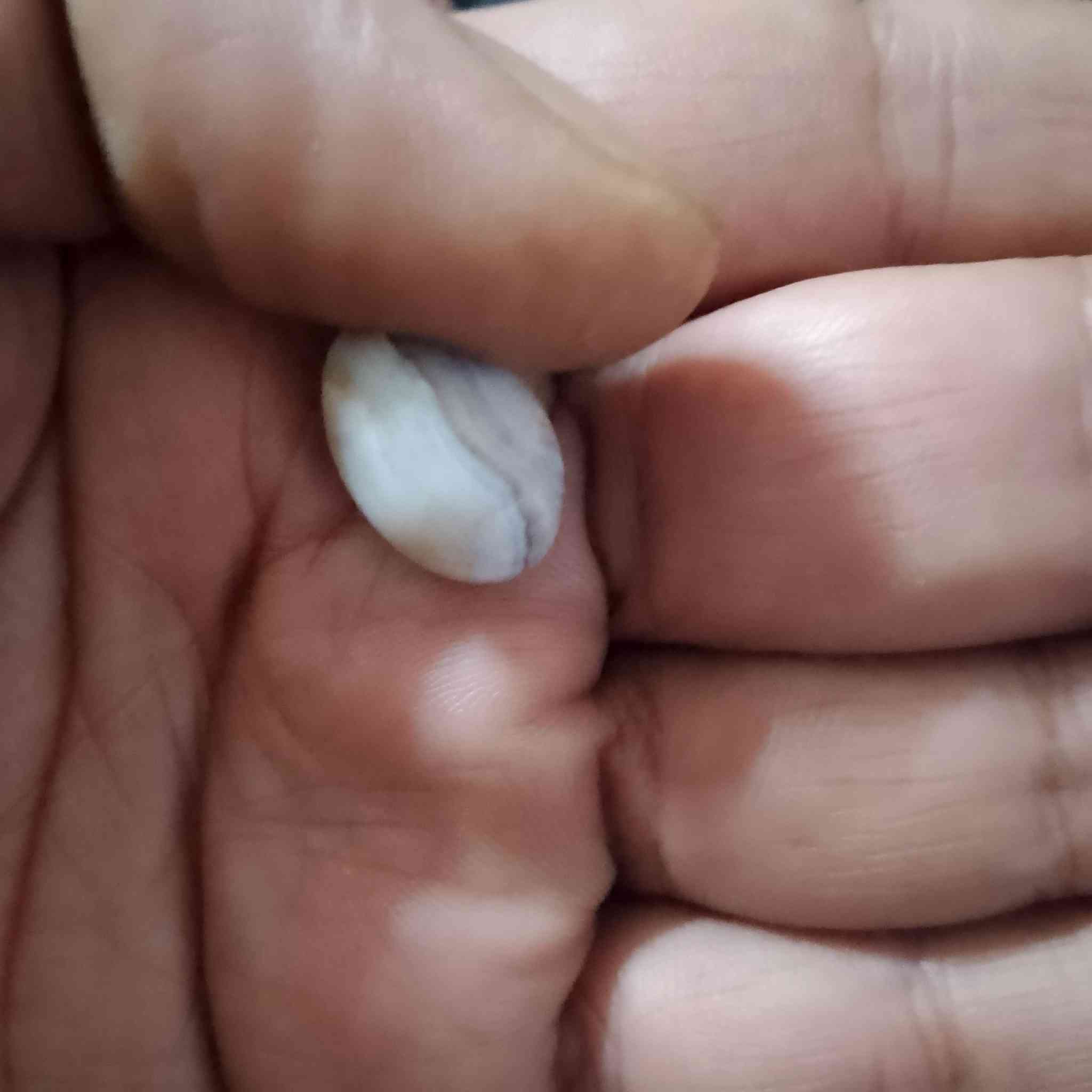 السلام عليكم هذين للبيع احجار قديمه ***********
