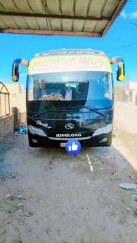 باص • كينك لونك • ٢٠١٥