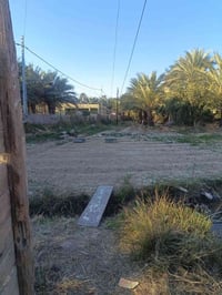 محريجه عل شط • ٤٦٥م • مي كهرباء انترنت