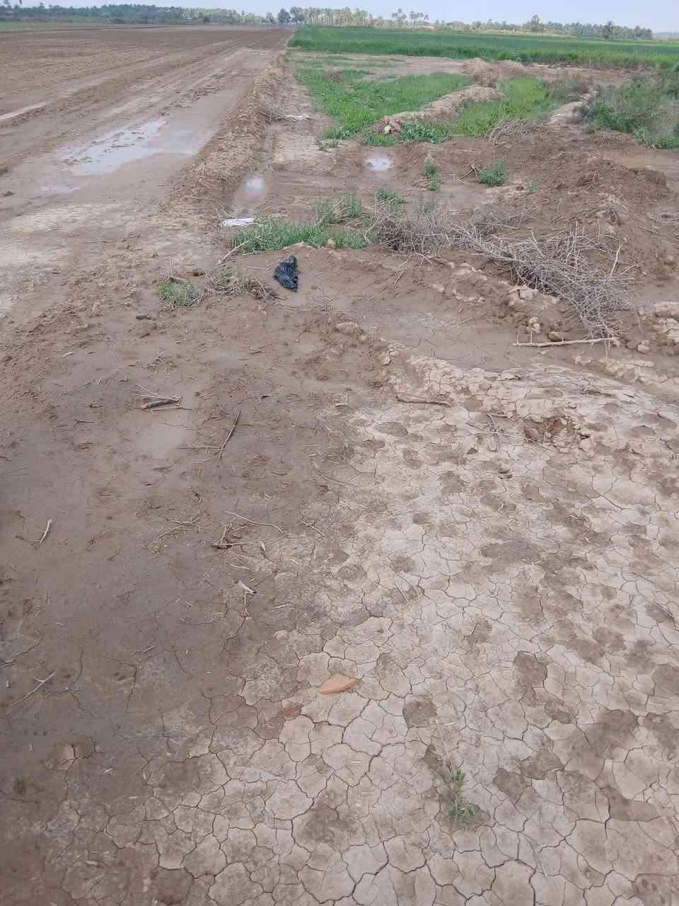 السلام عليكم ورحمت الله وبركاته.    ارض للبيع الصويره قرب الشط طابو تحويل مباشر عله طابو الصويره كافت الخدمات  تربه لارض جيده بنسبه 100........100.  ارض تجاريه وزراعيه.  سعر الدونم 14 مليون وبيهه مجال للستفسار التصال ***********
