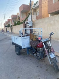 ستوته • مجمع طيبه