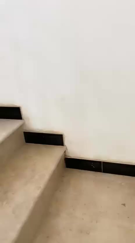 🏡 بيت للبيع – فرصة ذهبية

مساحة 100 متر
واجهية 5 متر ونزال 20 متر
3 طوابق بناء حديث 2024
✨ يتكون من:
▪️ 4 غرف نوم
▪️ 4 حمّامات
▪️ صالة استقبال واسعة
▪️ مطبخ حار وبارد داخل الصالة

تشطيب أنيق، تصميم عصري

 واستثمار مضمون

بيت متكامل وجاهز للسكن 👌

لأصحاب الذوق الراقي فقط

📍 الموقع: بغداد – بلديات – حي الصحفيين

📞 للاستفسار والمشاهدة الجدية خاص أو اتصال***********
