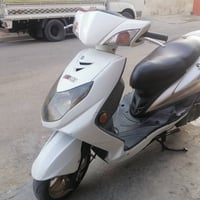 سكنس فحل • خطين • نقص دبلات