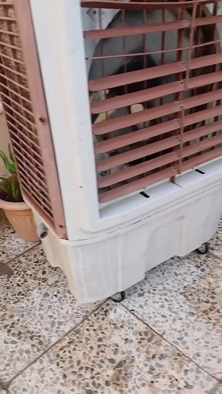 كونفيرا شغاله
بغداد راشديه
70 الف


**إذا كنت صاحب هذا الإعلان وتريد حذفه لأي سبب، رجاءا أرسل رسالة إلى الدعم الفني**