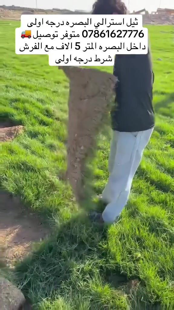 متوفر ثيل استرالي طبيعي شرط درجه اولى
🛑..للتجهيز الحدائق والدوائر الحكوميه والمشاريع والمنتزهات 
🛑..مقاوم للماء المالح والأجواء الحاره في محافظه البصره.
متوفره كميات كبيره جمله ومفرد
🛑..متوفر توصيل داخل البصره 🚛 بأسعار مناسبه
للتواصل الرقم 👇🏻
***********
#ثيل_طبيعي#
